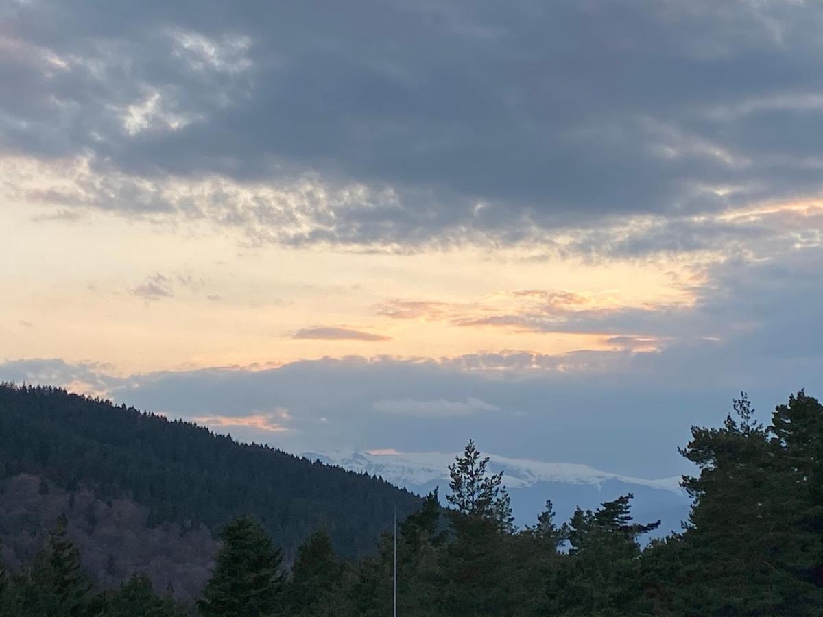Borovets Hills Apartments - Evergreen Suite מראה חיצוני תמונה